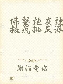 佛系炮灰被迫拯救疯批反派番外