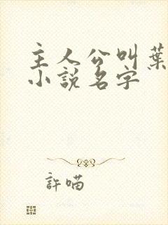 主人公叫叶凡的小说名字