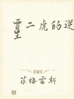 贾二虎的逆袭人生