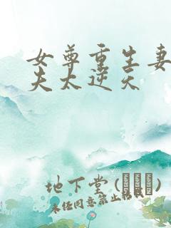 女尊重生妻主宠夫太逆天