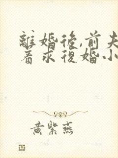 离婚后,前夫哭着求复婚小说阅读