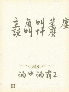 主角叫叶尘的小说叫什么