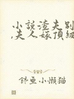 小说渣夫别跪了,夫人嫁顶级大佬显怀了