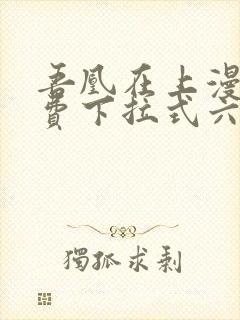 吾凰在上漫画免费下拉式六漫画