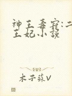 神王毒宠:二嫁王妃小说