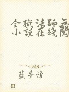 全职法师无删减小说在线阅读