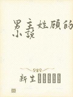 男主姓顾的全部小说