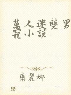 万人迷双男主团宠小说