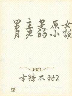 男主是原女主白月光的小说推荐