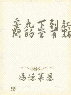 睾丸下到肛门之间的管有点隐痛