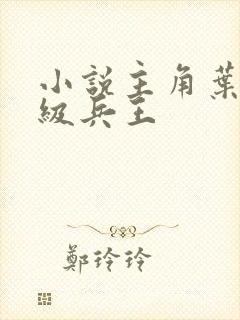 小说主角叶谦超级兵王