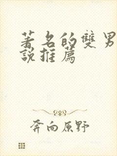 著名的双男主小说推荐