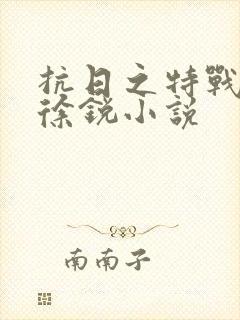 抗日之特战兵王徐锐小说