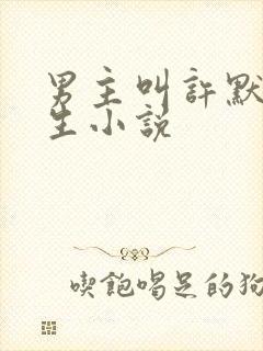 男主叫许默的重生小说