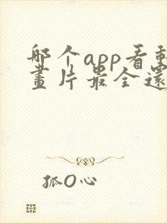 哪个app看动画片最全还免费