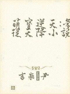 萌宝逆天:爹地从天降小说全文免费阅读