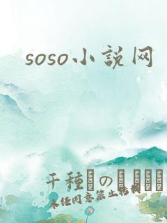 soso小说网