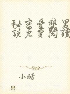 秘密爱双男主小说免费阅读