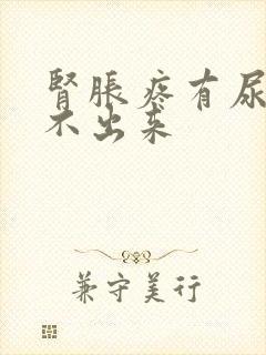 肾胀疼有尿意尿不出来