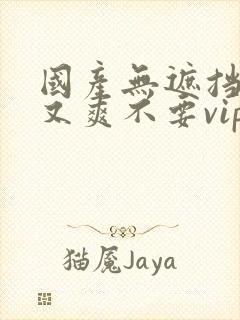 国产无遮挡又黄又爽不要vip的网站