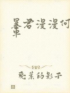 暴君漫漫何其多车