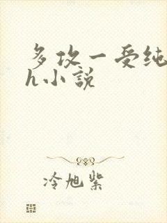 多攻一受纯肉高h小说