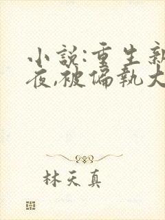 小说:重生新婚夜,被偏执大佬亲疯了