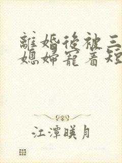 离婚后被三个儿媳妇宠着短剧全集