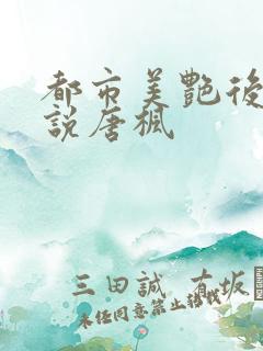 都市美艳后宫小说唐枫