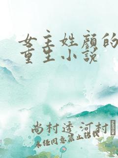 女主姓颜的现代重生小说