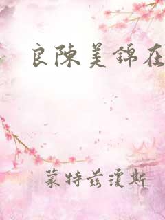 良陈美锦在线版