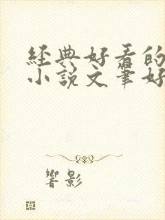 经典好看的言情小说文笔好的