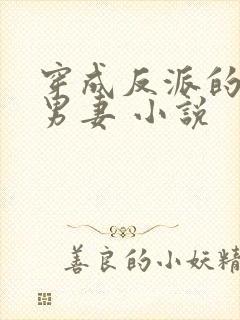 穿成反派的替身男妻 小说