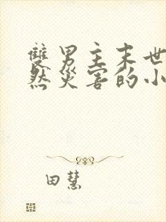 双男主末世文自然灾害的小说推荐