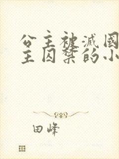 公主被灭国被男主囚禁的小说