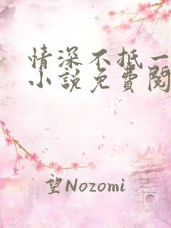 情深不抵一场错小说免费阅读全文