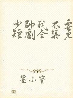 少帅我不要你了短剧全集免费