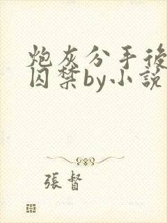 炮灰分手后疯批囚禁by小说免费阅读