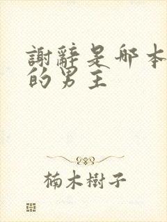 谢辞是哪本小说的男主