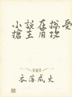 小说在总受文里抢主角攻