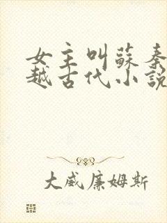 女主叫苏秦的穿越古代小说