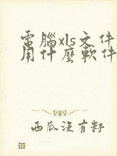 电脑xls文件用什么软件打开