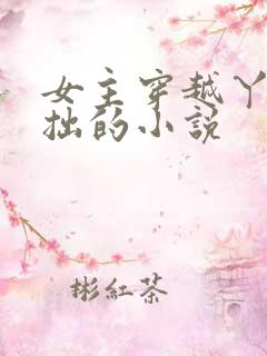 女主穿越丫鬟藏拙的小说