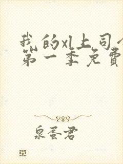 我的xl上司令第一季免费观看