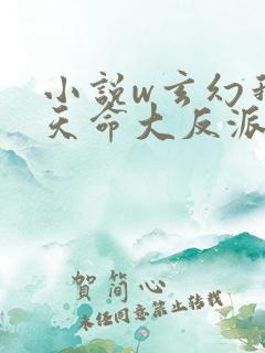 小说w玄幻我是天命大反派》