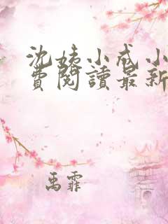 沈姨小成小说免费阅读最新章节更新