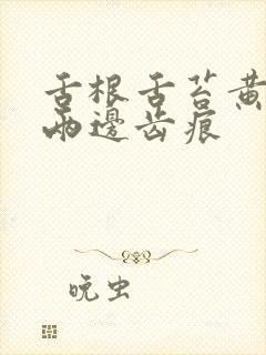 舌根舌苔黄腻 两边齿痕