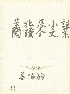 叶北辰小说免费阅读全文叶北辰