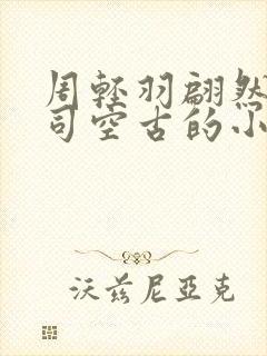 周轻羽翩然仙子司空古的小说超前