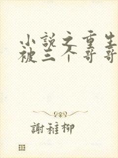 小说之重生后我被三个哥哥追着宠